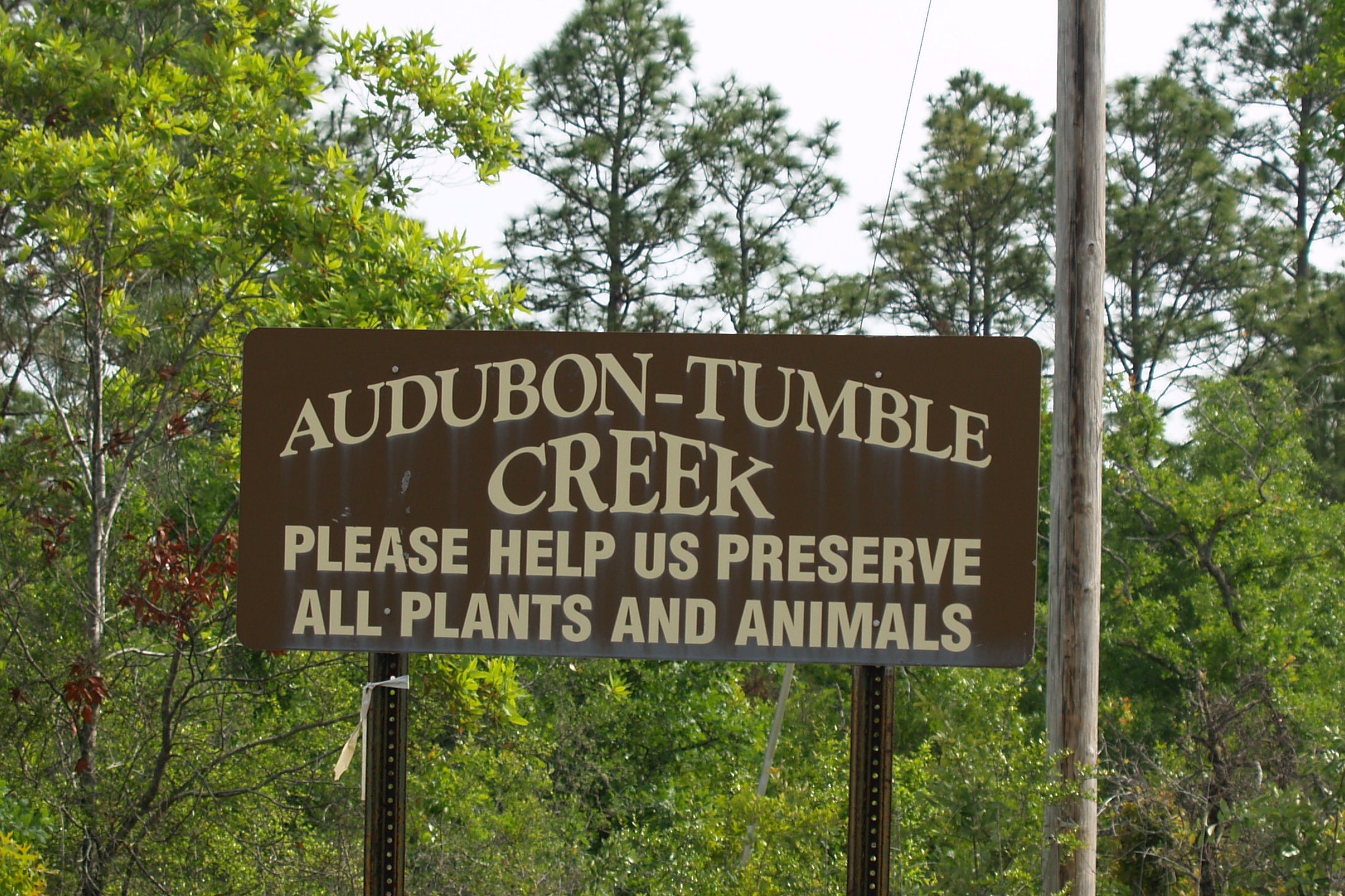 Tumble Creek Preserve